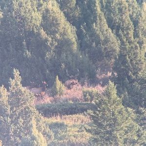 Meet your Posher, Brent